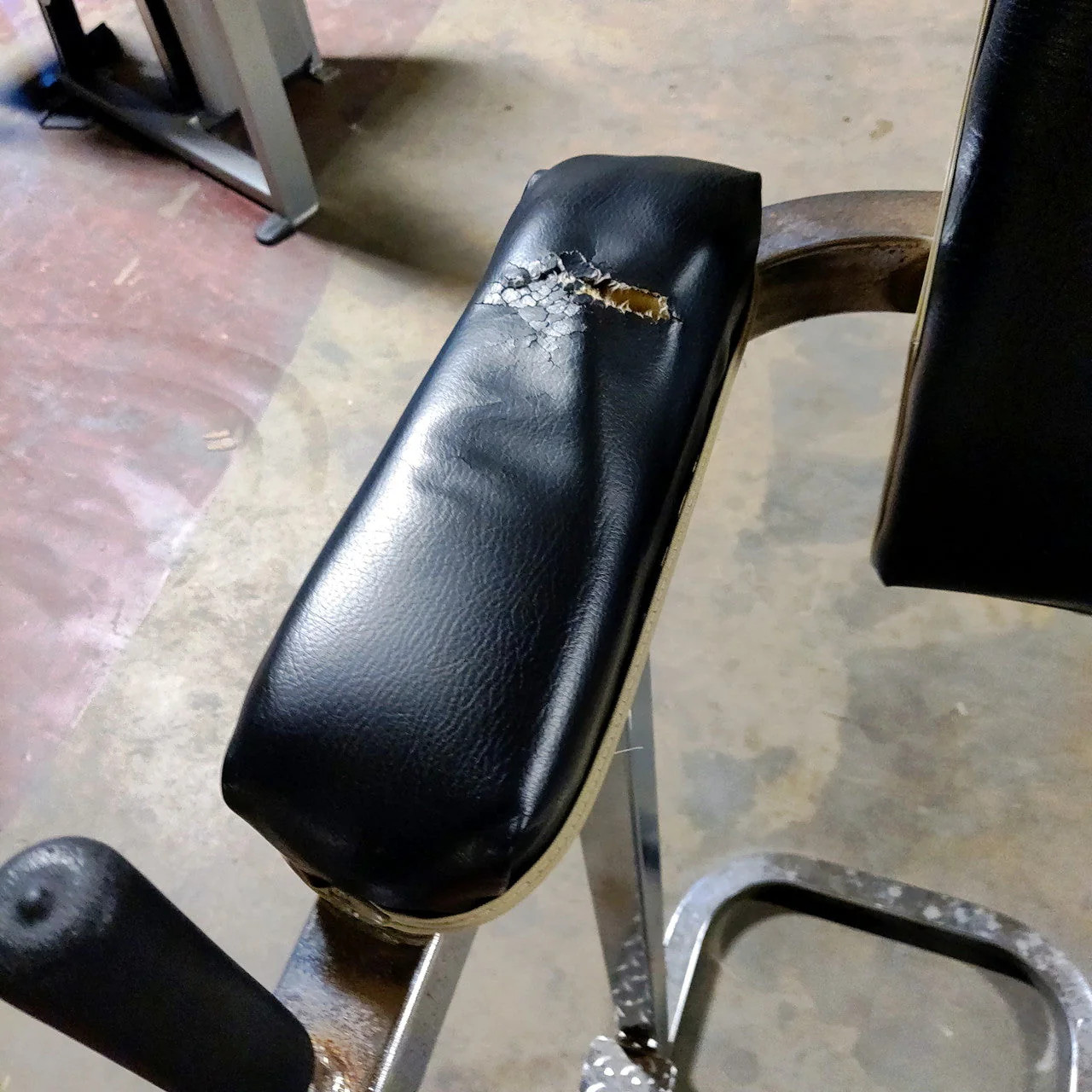 Vertical Knee Raise and Dip Station