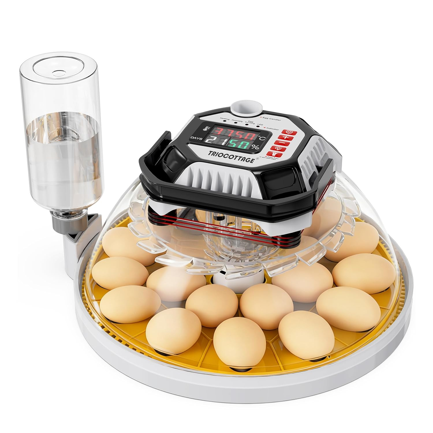 Incubators for Hatching Eggs, 12–18 Egg Capacity Digital Egg Incubator with Auto