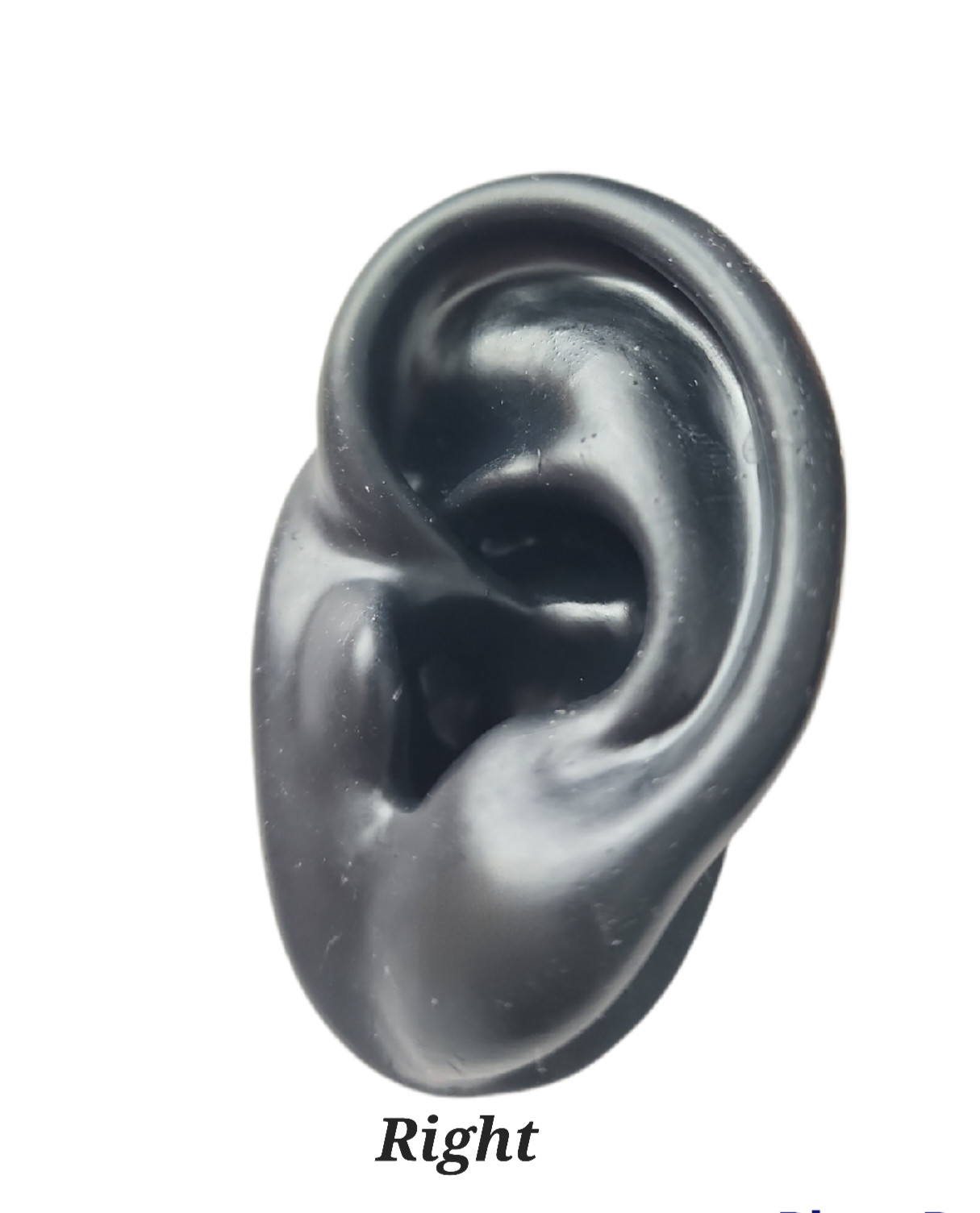 Ear Model , Soft Silicone, Jewelry Studs Display