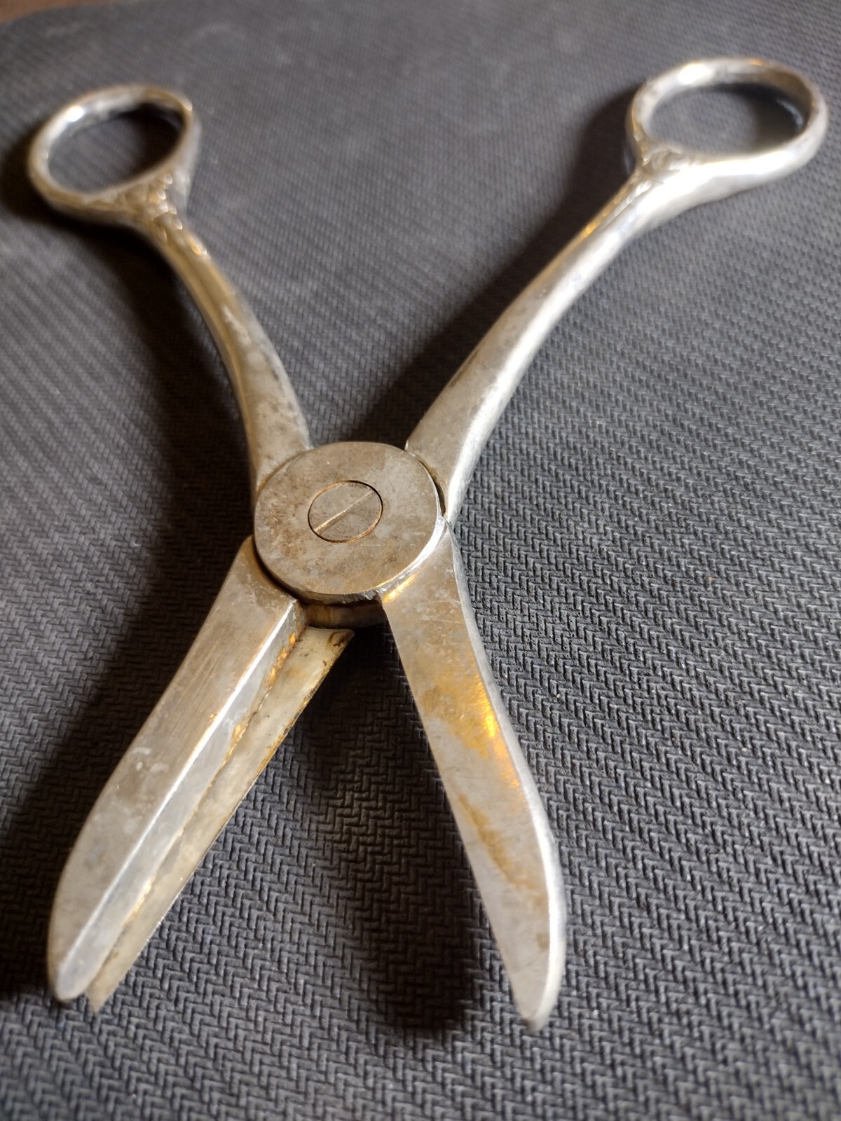Vintage Made in Italy Grape Shears / Scissors Silver Plated
