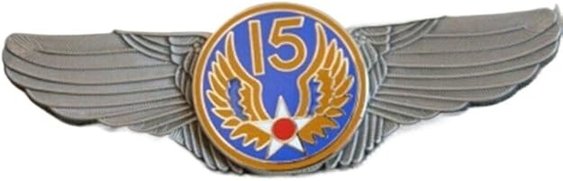 FIFTEENTH AIR FORCE 15TH AF USAF PILOT WING BADGE INSIGNIA COMMEMORATIVE PIN