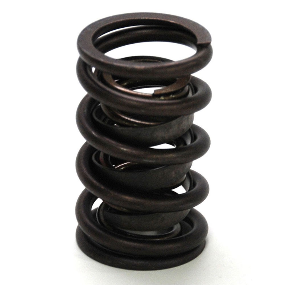 Renegade Valve Spring Set 99520-16; Dual, 123 lbs at 1.800 in.,1.437 in. OD