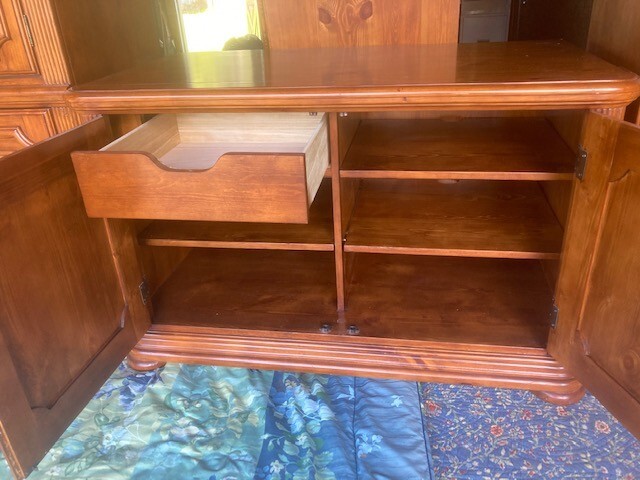 Entertainment wall unit or dining room display case and cabinet