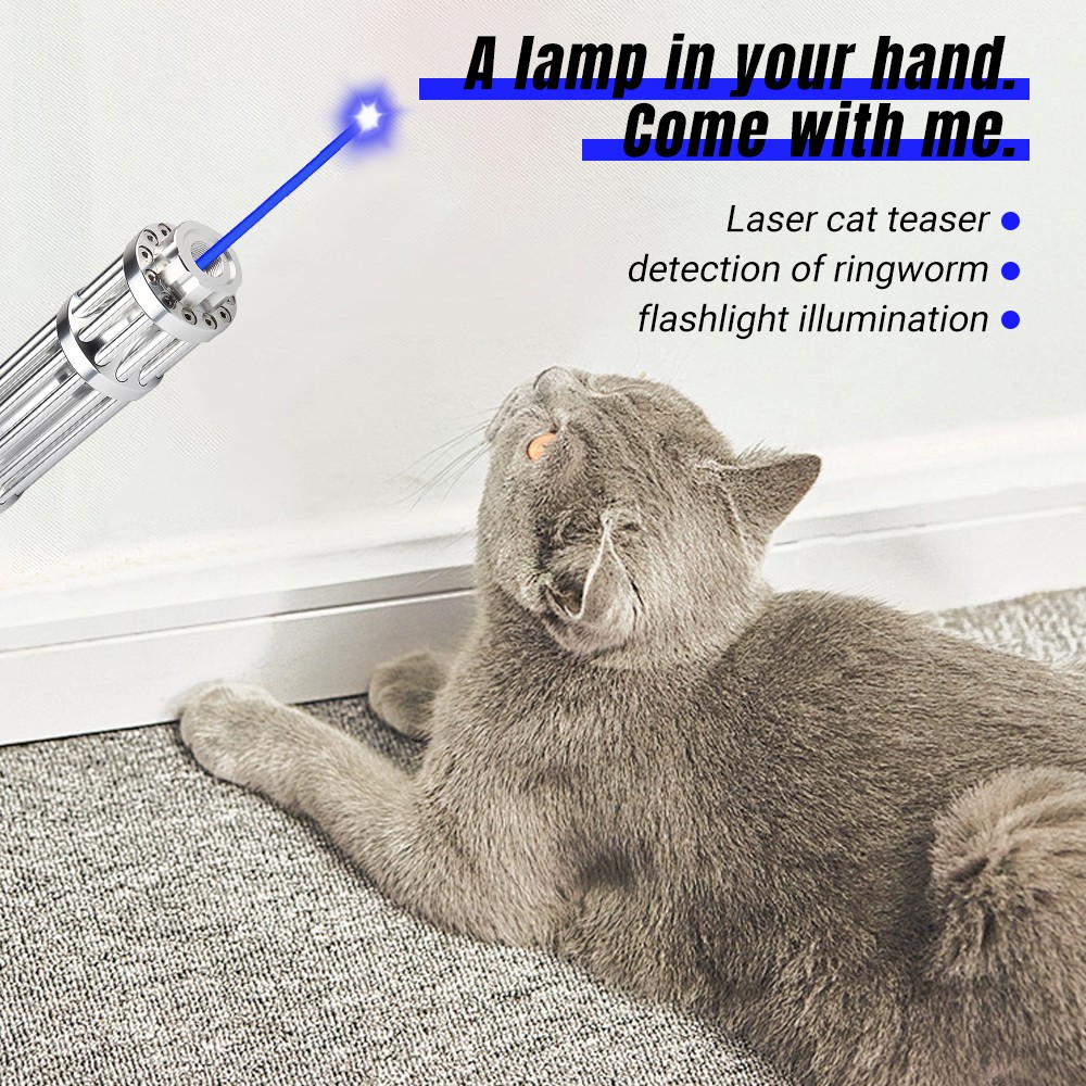 Blue Burning Laser Pointer 450-n-m Adjustable Visible Beam Dot Light
