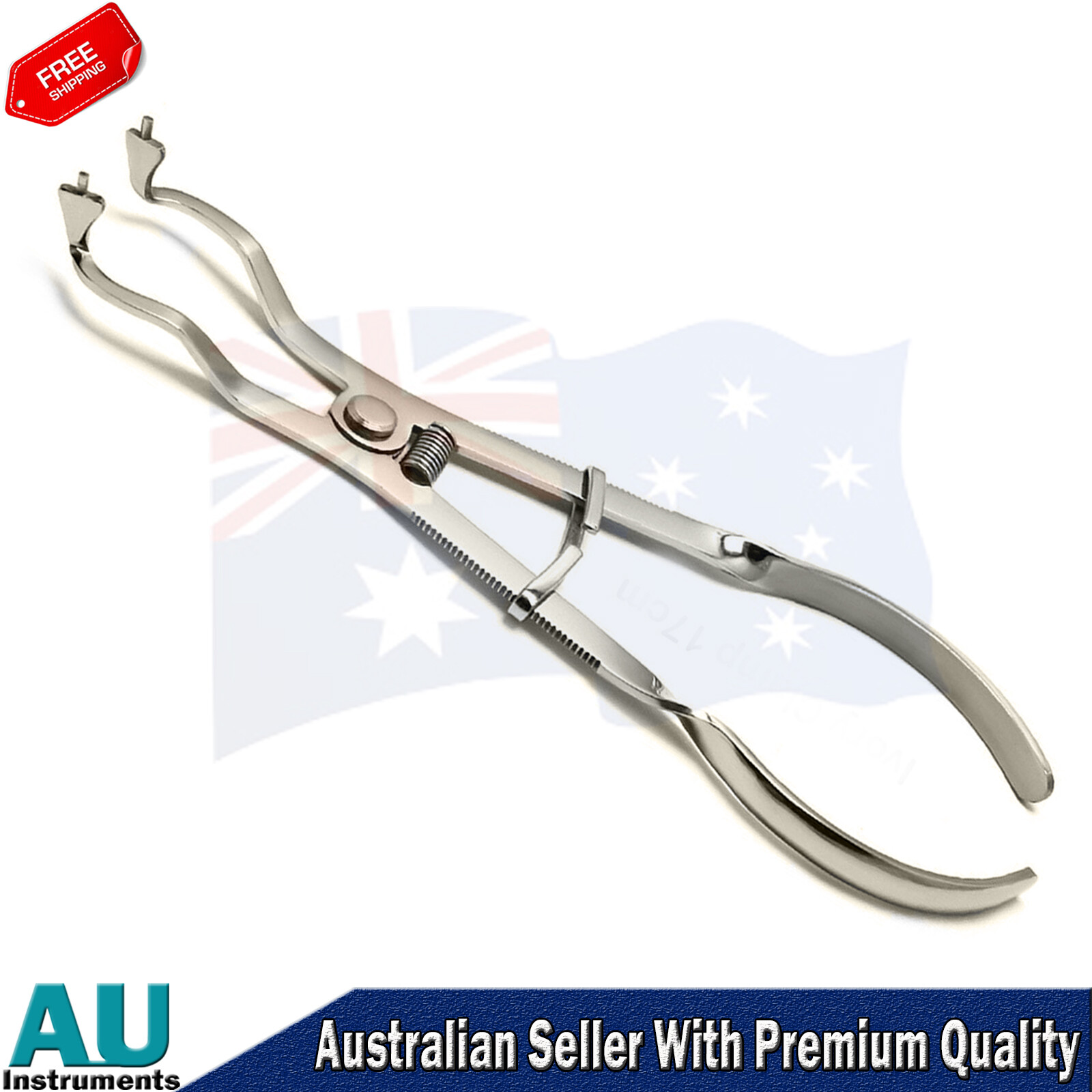 Clamps Holding Light Ivory Endodontic Rubber Dam Restorative Instruments