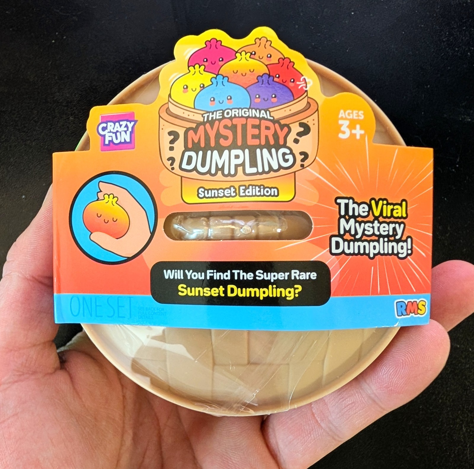 (SEALED) Crazy Fun Mystery Sunset Edition Squishy Bun Set