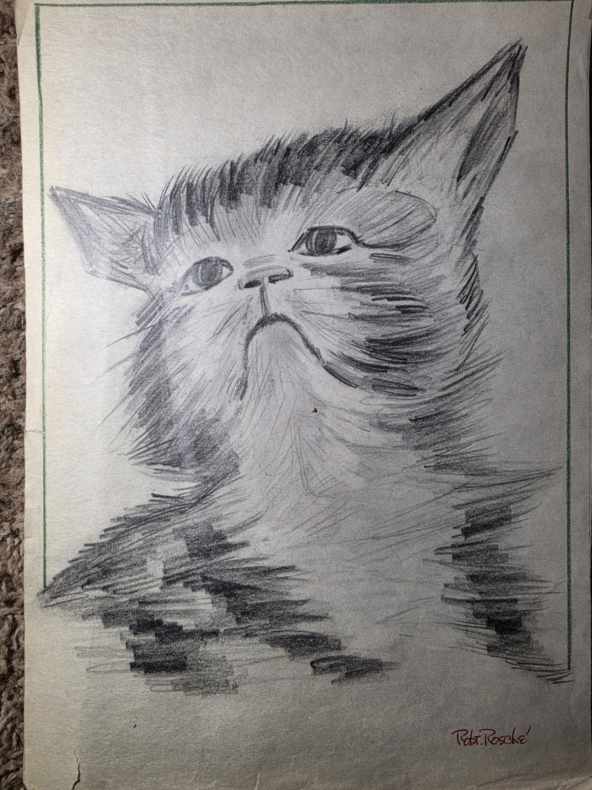 Original Hand-Signed Kitten Pencil Sketch – Realistic Graphite Animal...
