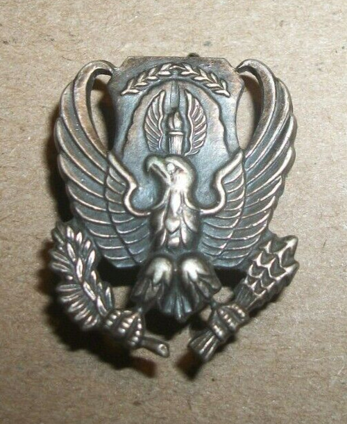 US Air Force Eagle ROTC Insignia Pin