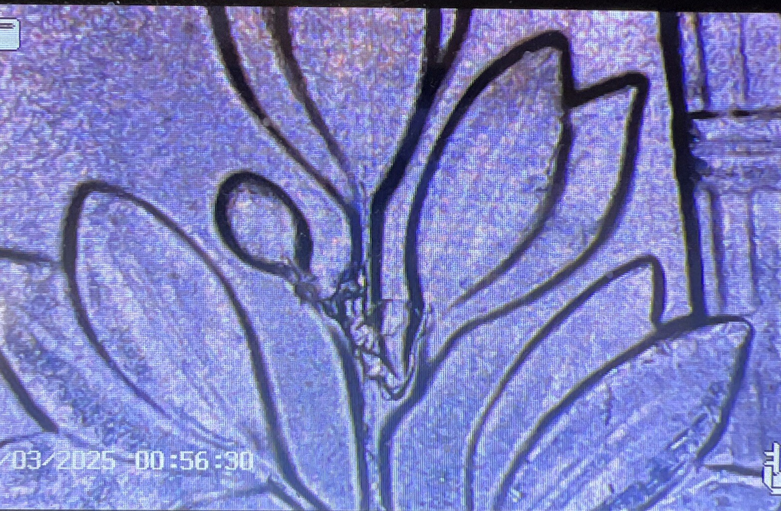 2018 P Dime DDO Die Chips Cracks & Retained Cuds Both Sides Mint Errors