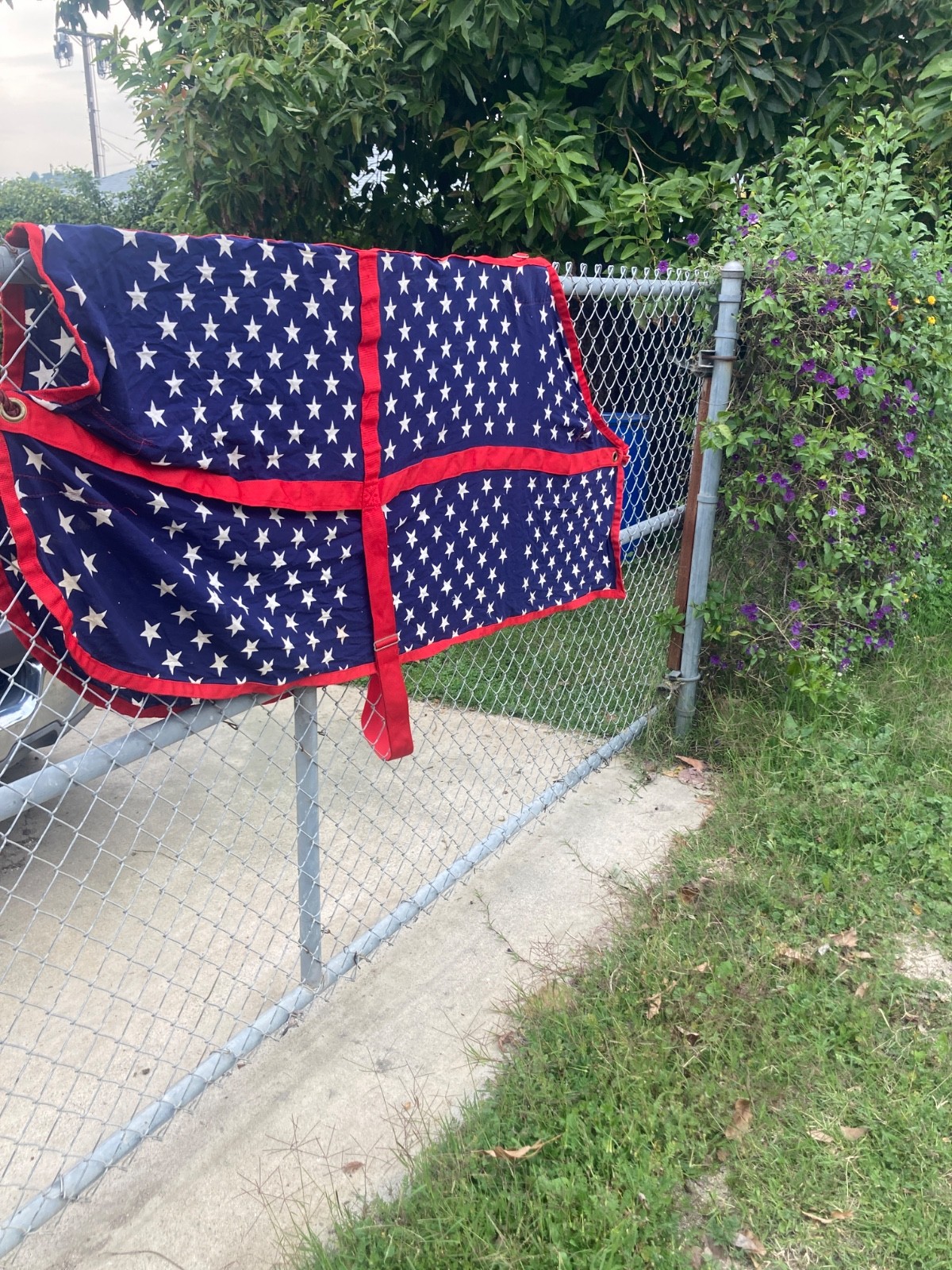 American Flag Horse Turnout Blanketh