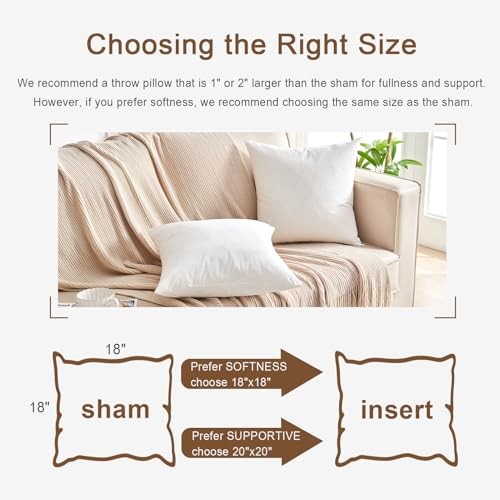 Organic Feather Down Lumbar Pillow Inserts (Set of 2) - 100% Cotton 14x22 Inch