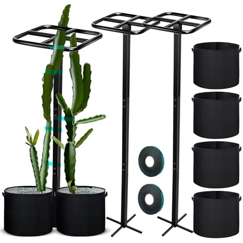 8 Pcs 12 x 48 Inch Dragon Fruit Plant Trellis with 20 Gallon Grow Bags and
