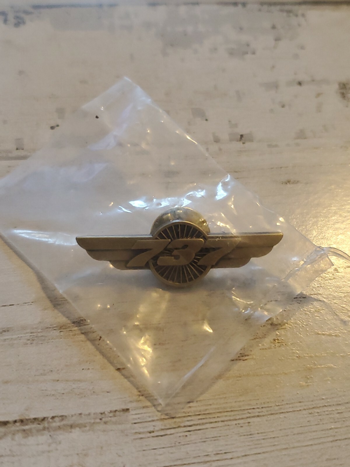 Boeing 737 WINGS Turbine bronze Pilot Crew B737 uniform Pilot Wing metal fv