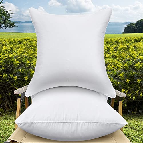 22 x 22 Outdoor Throw Pillow Inserts Set of 2 Waterproof 22x22 Inch set of 2