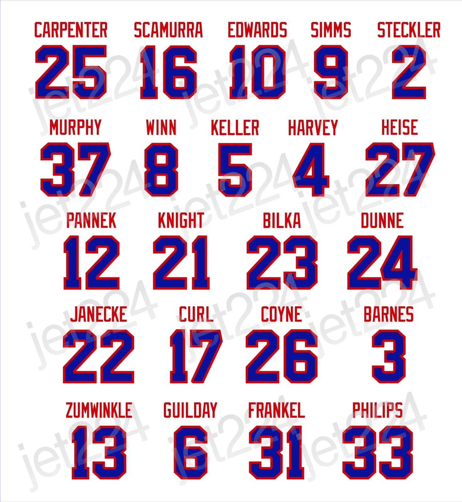 Team USA 2026 Olympic Womens Ice Hockey STICKER DECAL Coyne Keller Bilka Curl