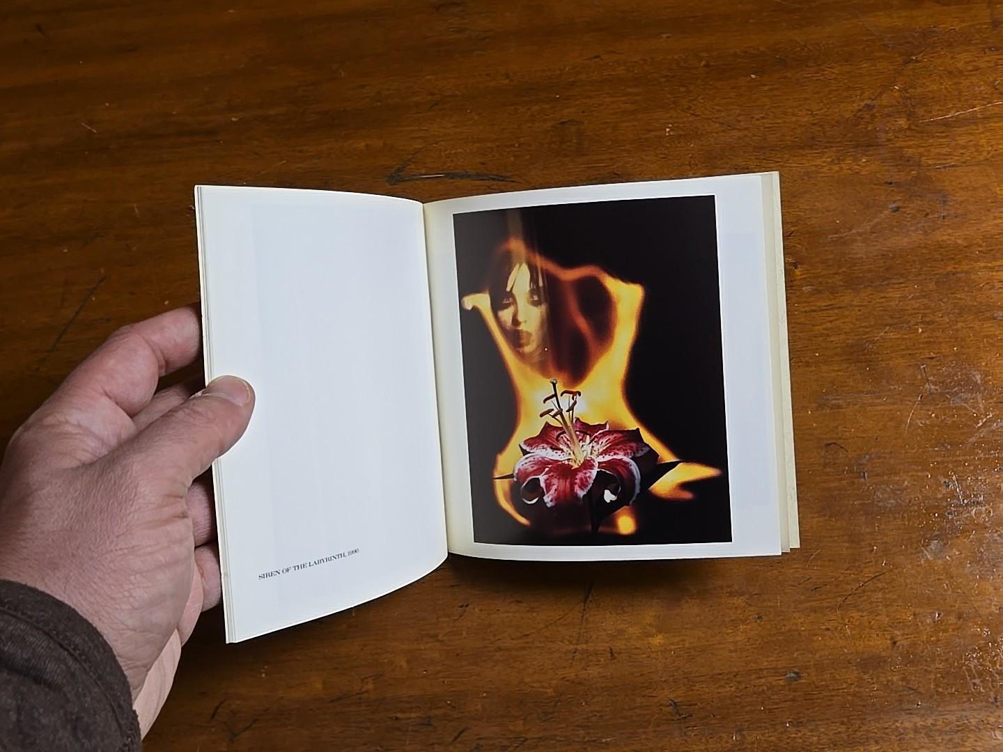 Frank Majore, Art Catalog 1991, Holly Solomon Gallery