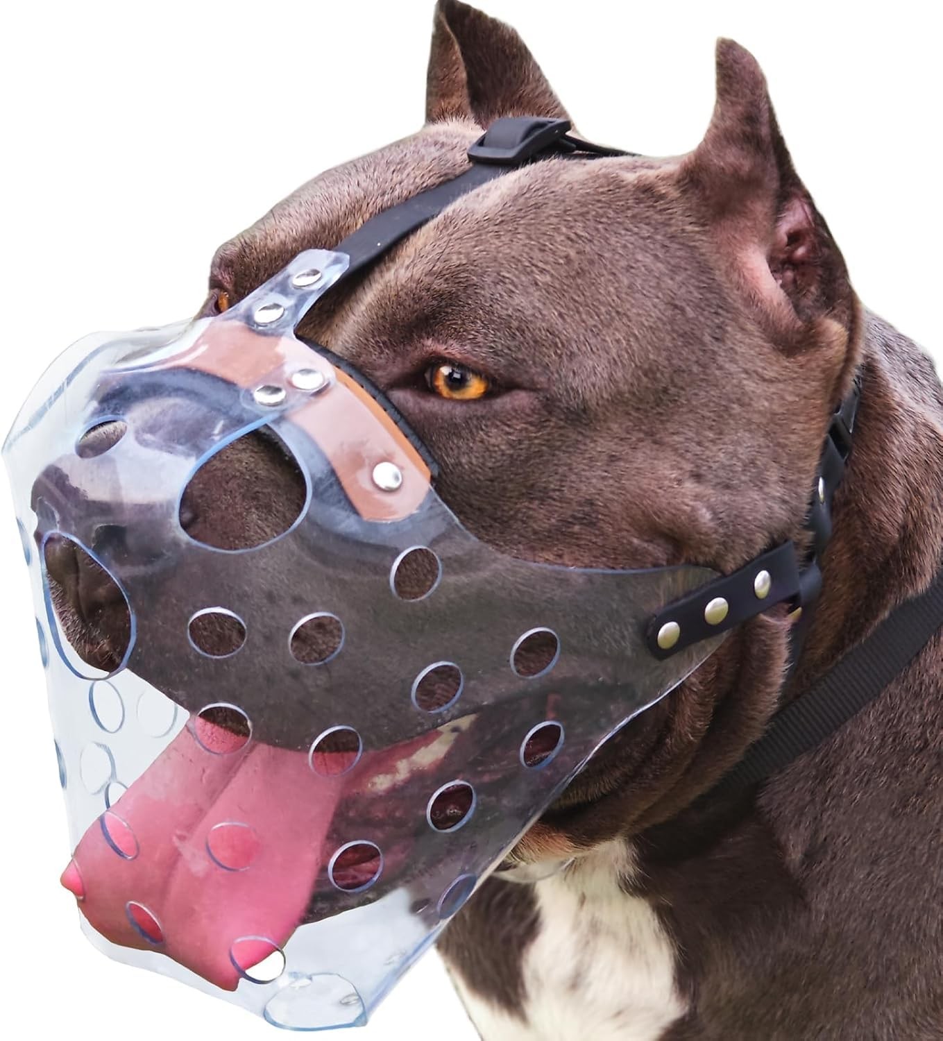 Mayerzon Pitbull Muzzle, Basket Muzzle for Large Dogs Rottweiler to XL, Clear