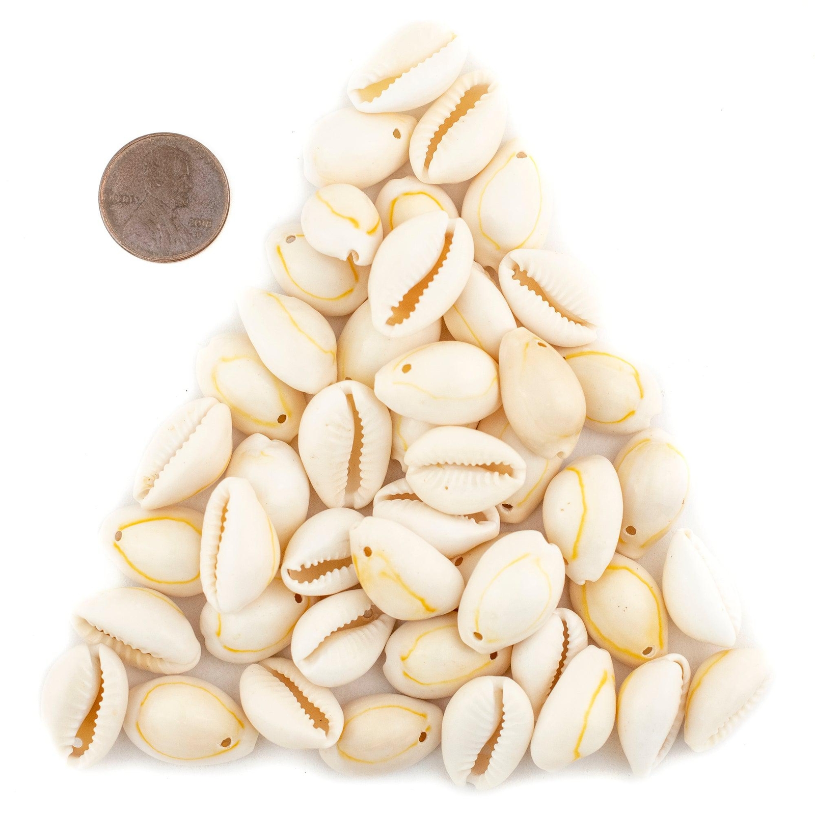 Beige Drilled Cowrie Shells Large 13mm White Unusual 1