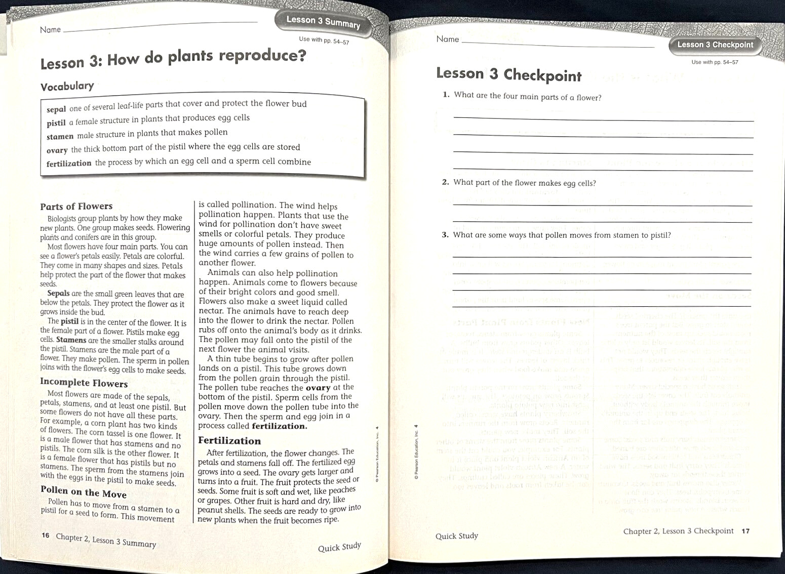 4th Grade - SCIENCE - QUICK STUDY - Intervention Study Guide (2006, Foresman)
