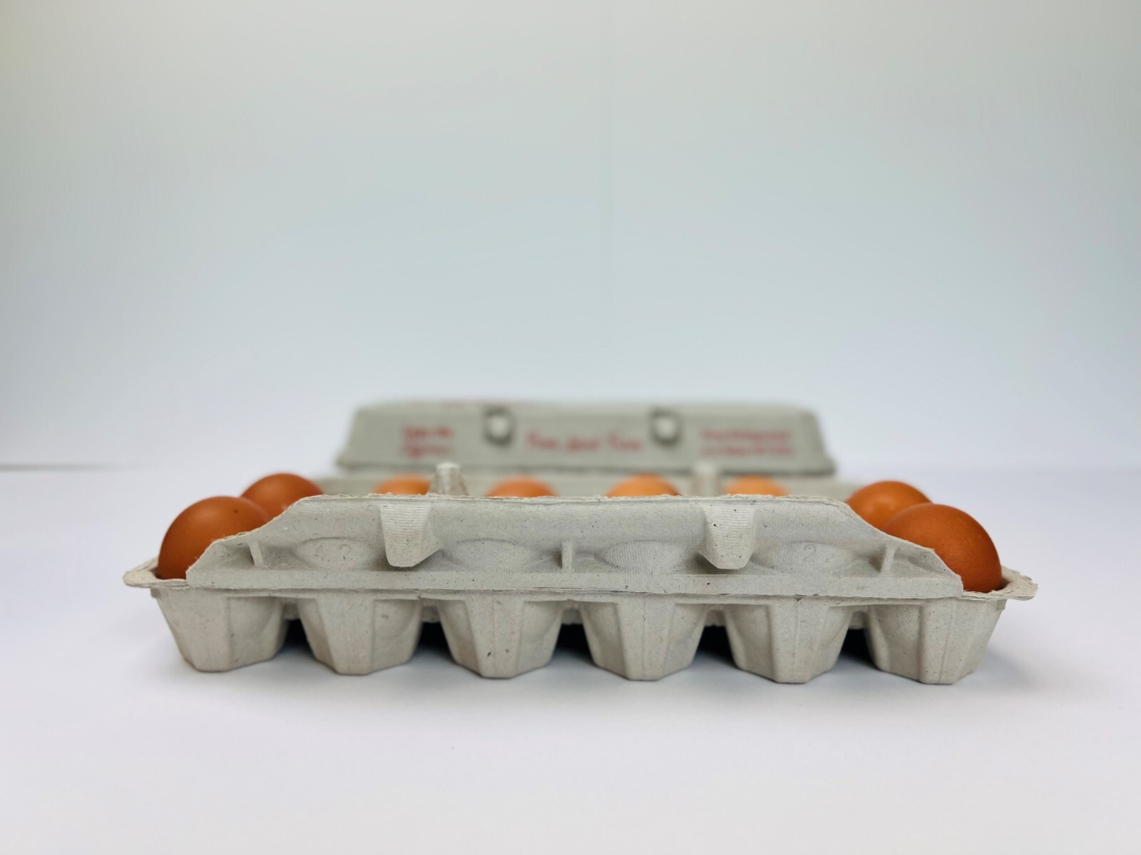 Printed Egg Carton (Chicken) - 100 units