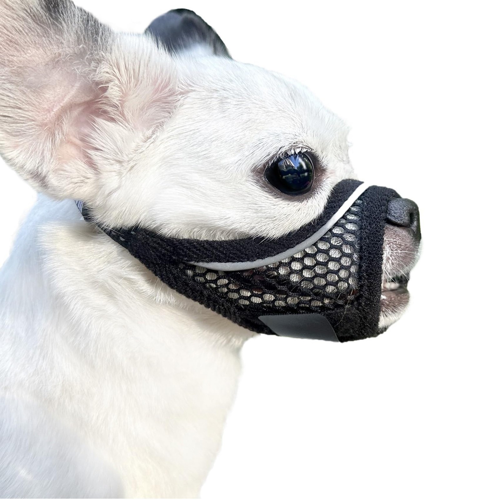 Dog Muzzle, Soft Mesh Muzzles for Small Dogs, Chihuahua Shih Tzu Yorkie Pom, ...