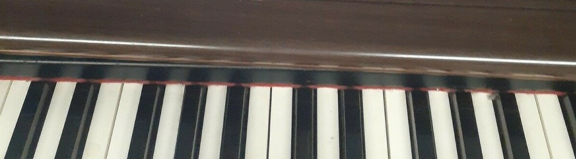 Technics Digital Piano Keys (and weights if desired) - SELLING INDIVIDUALLY !!!