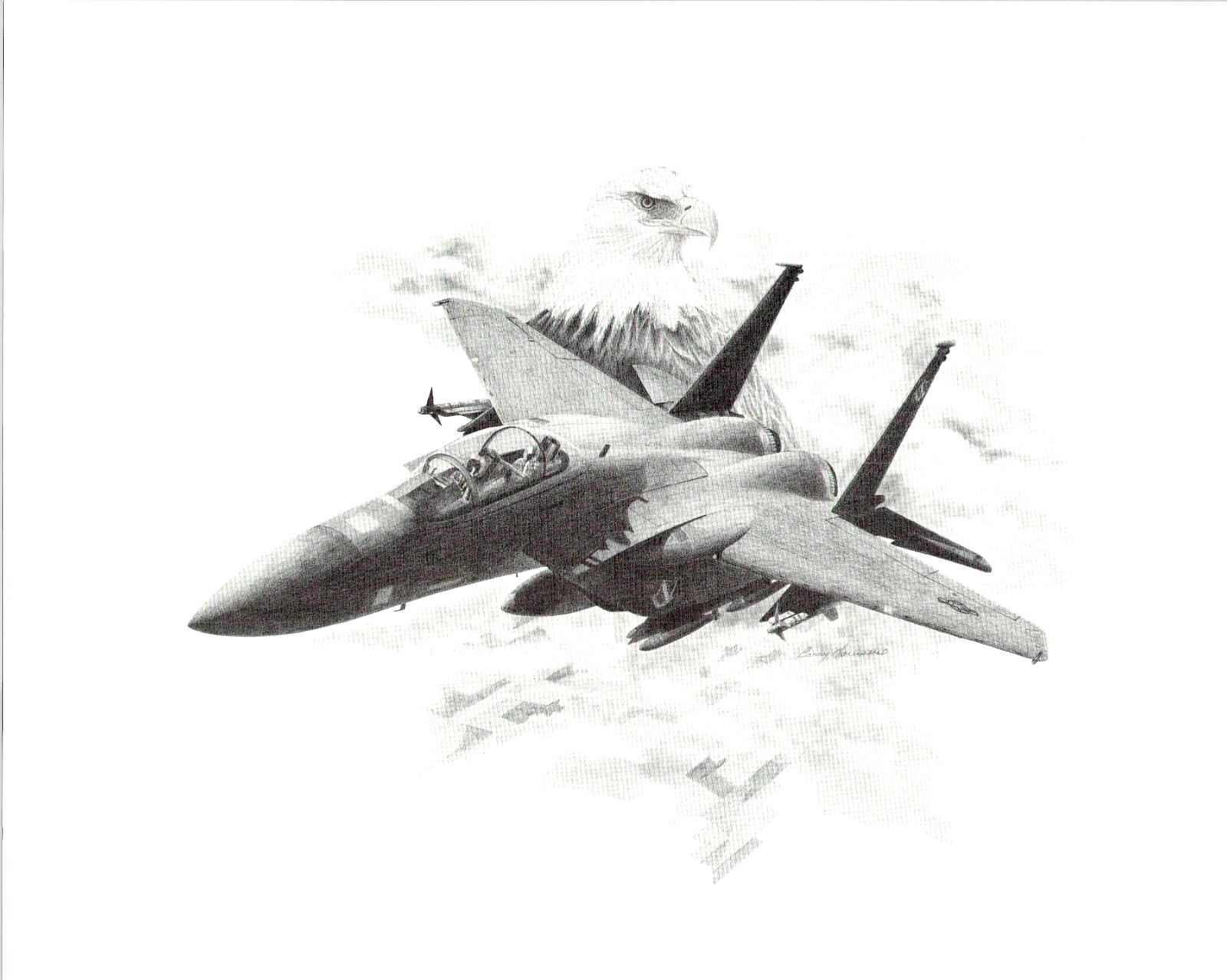 F-15E Strike Eagle 2-Seat Variant - 16"x20" Print
