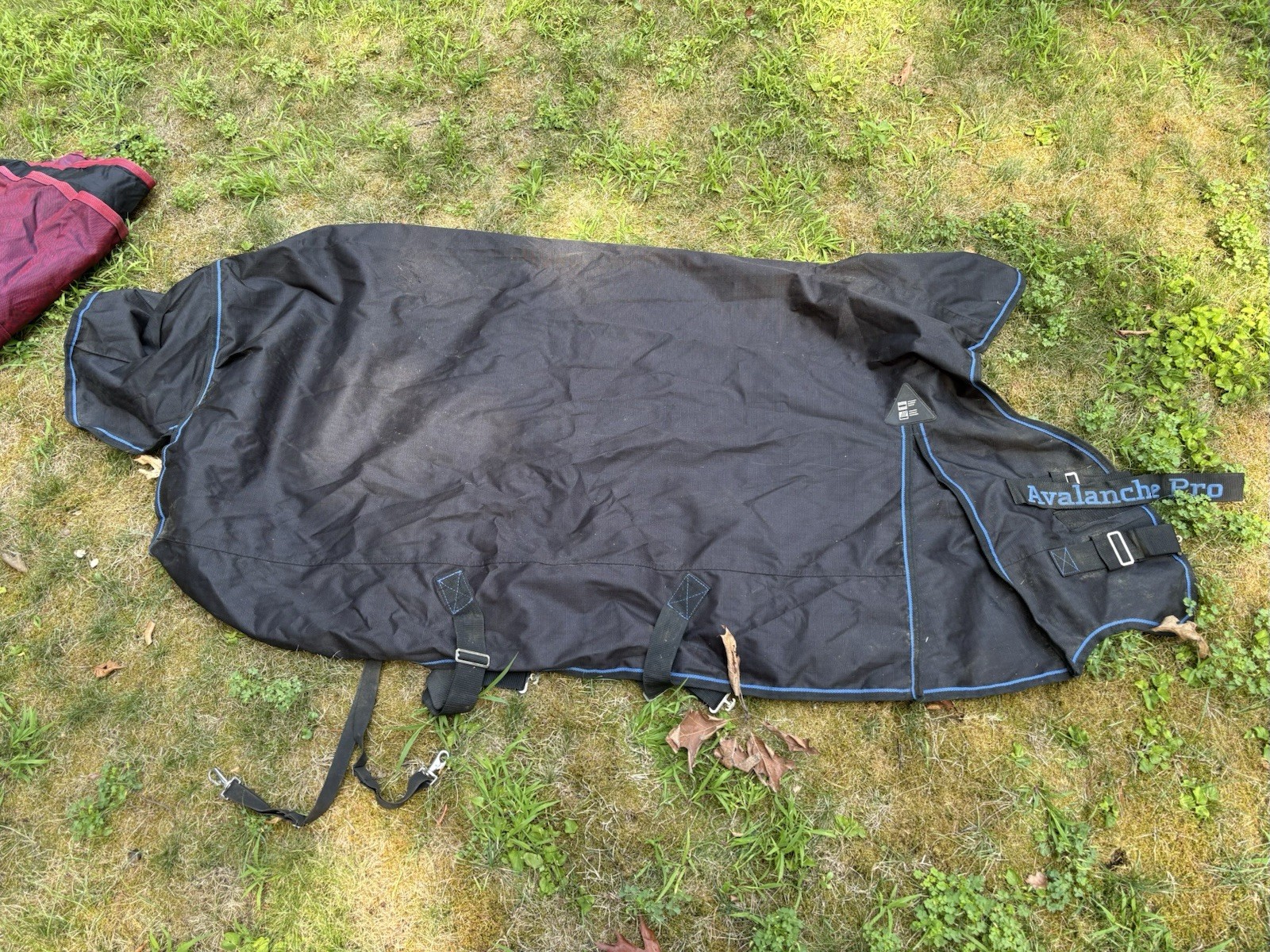 69 Horze Supreme Turnout Horse Sheet