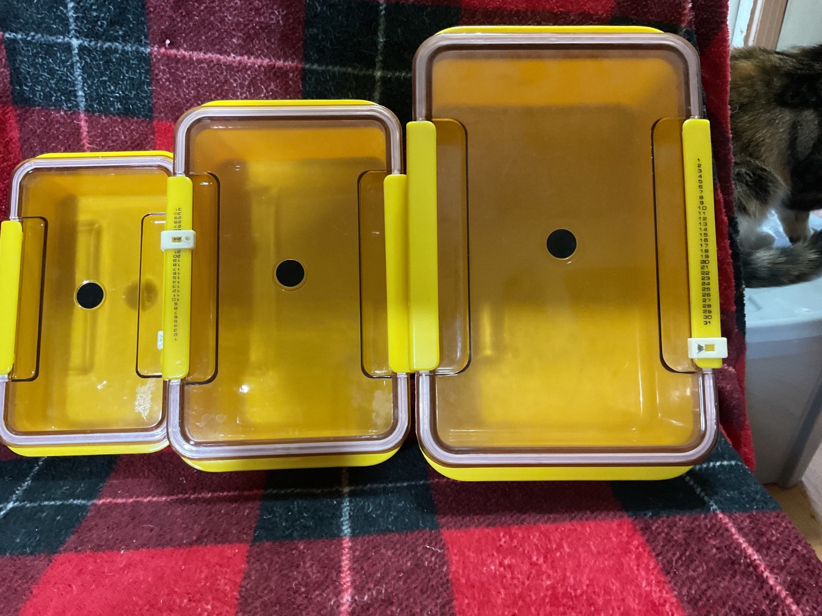 Lot of 3 Shin San storage containers freshness date hard plastic