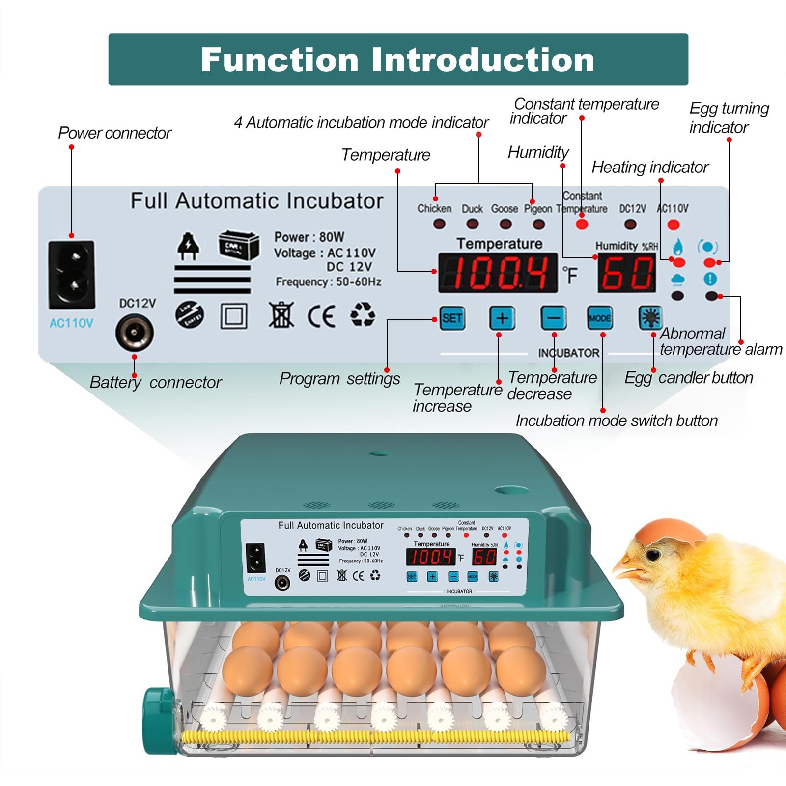 Coinceptus Incubators Hatching 36 Eggs Automatic Egg Turning And Humidity