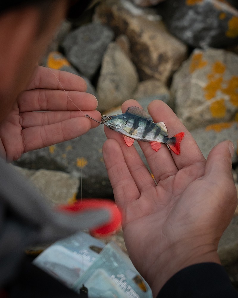 Fox Rage Ultra Natural Fillets / Lures - Roach OR Perch Options