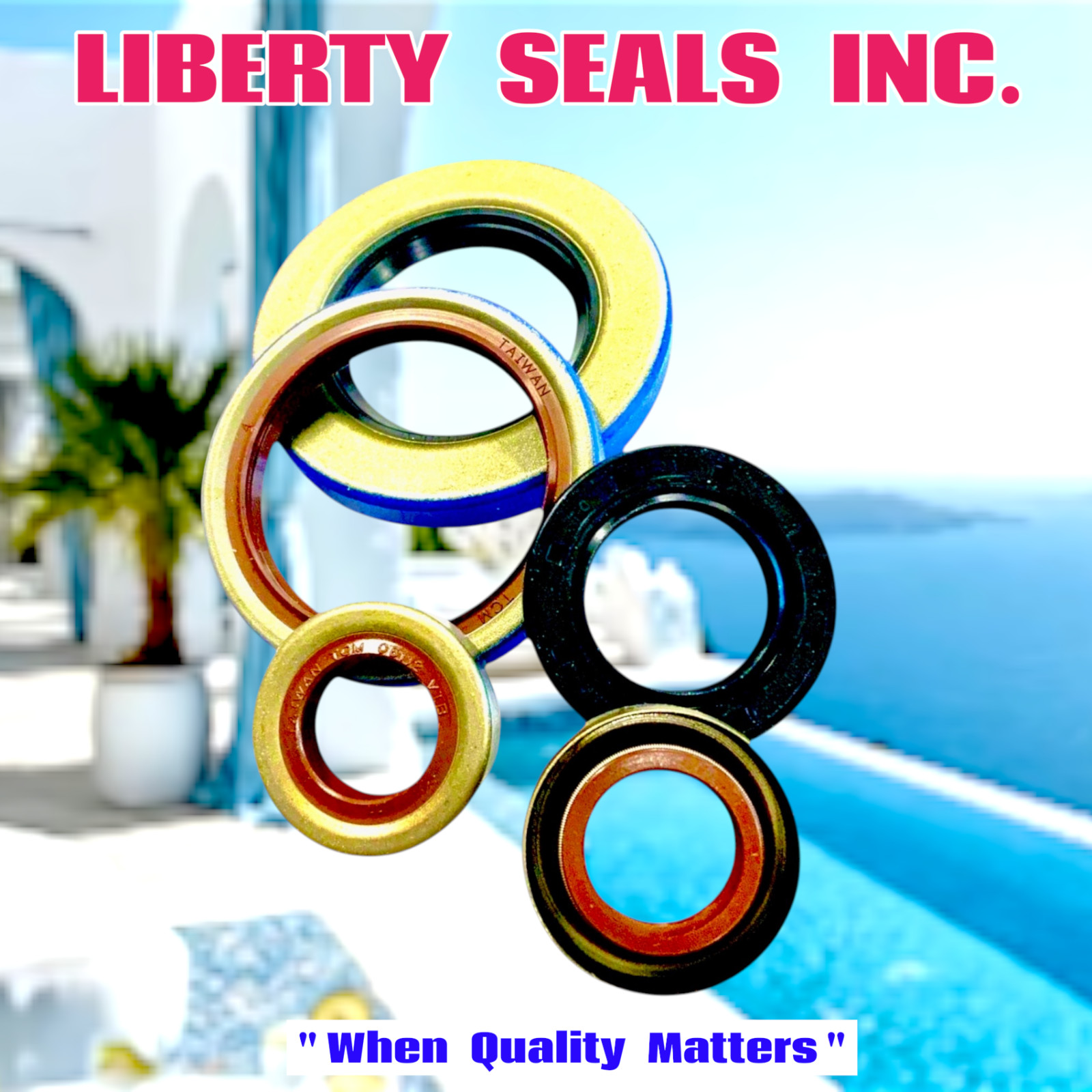 TCM 45X75X7TC-BX    67039657,  75015862,    "EVERY SEAL IN THE WORLD" SEE BELOW
