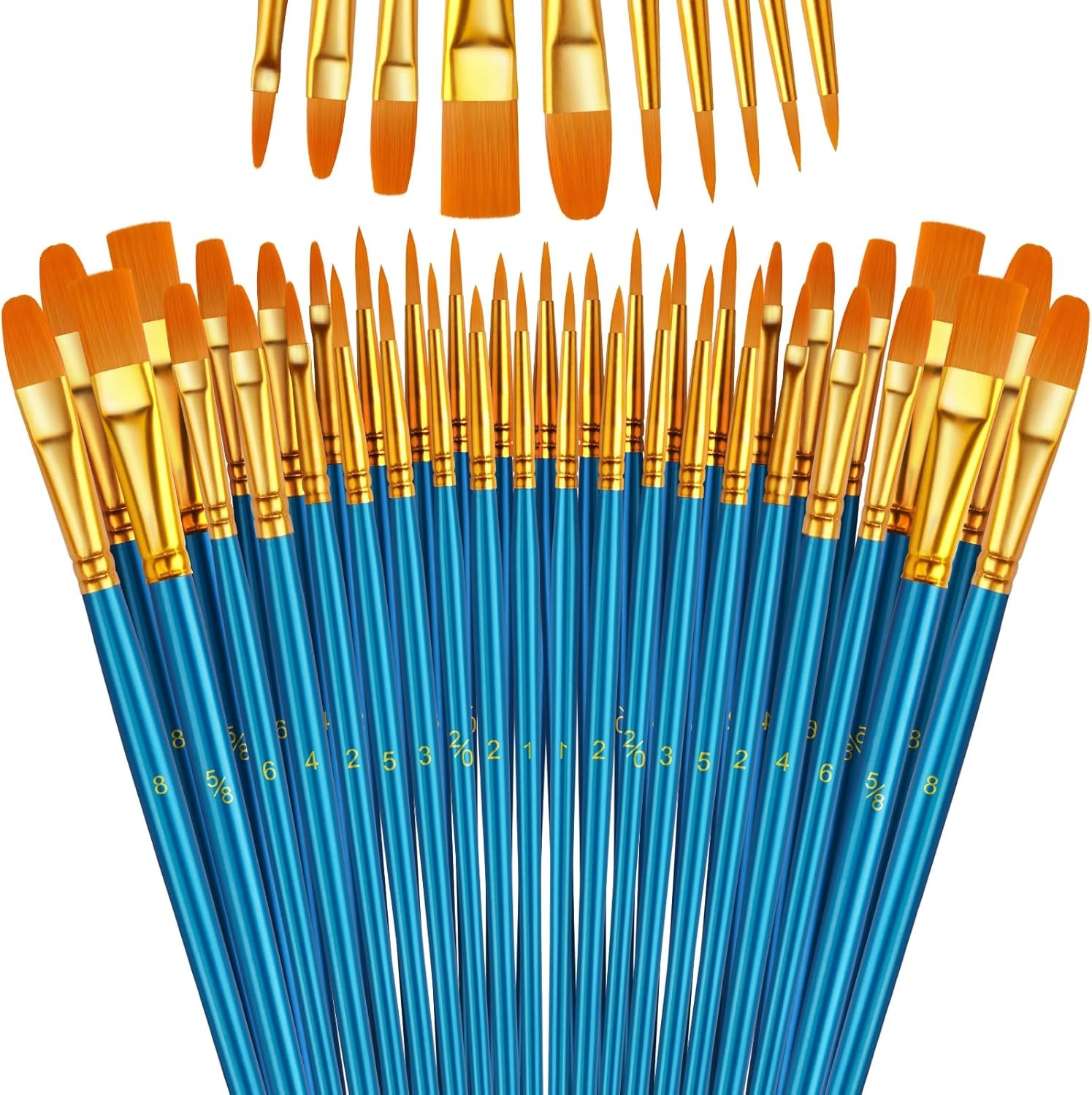 Paint Brushes Set, Round-Pointed Tip Paintbrushes Nylon Hair Artist
