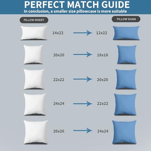 22x22Euro Pillow Inserts Set of 2, Premium Down Feather Pillows for 22x22(2pc)