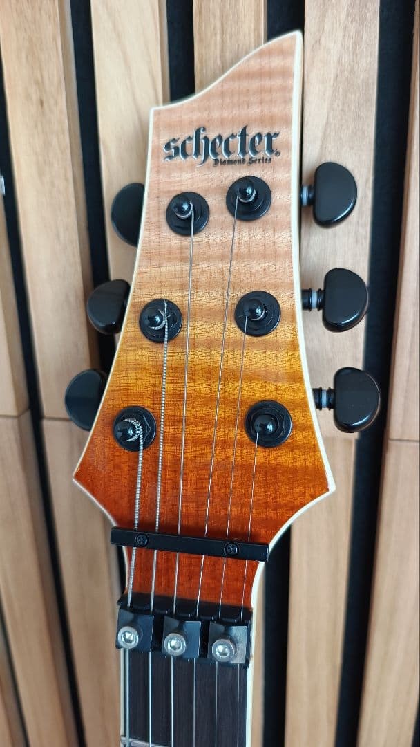 Schecter Electric Guitar C-1 Fr Sls Elite
