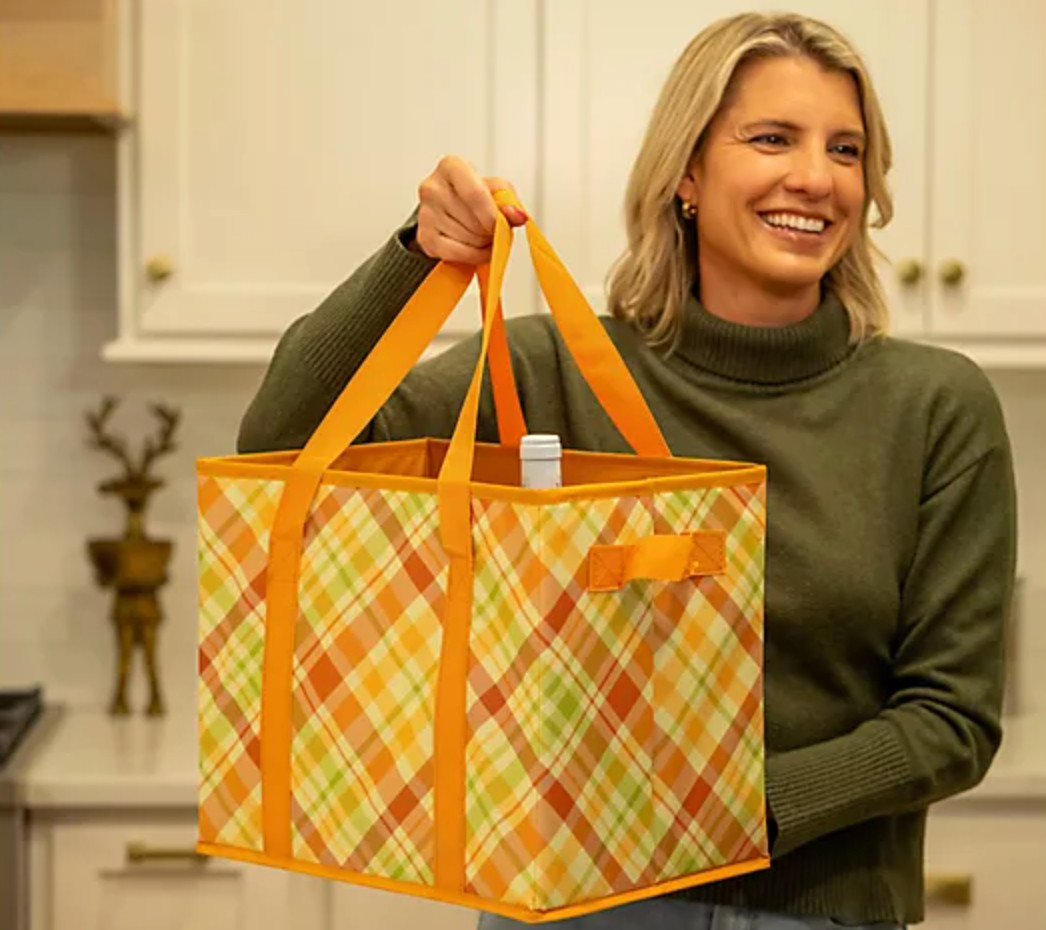 DuraSack DuraSack Small Collapsible Storage Totes 4-Pack