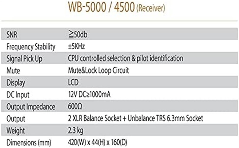 BMB Professional Wireless Karaoke Microphone System - White