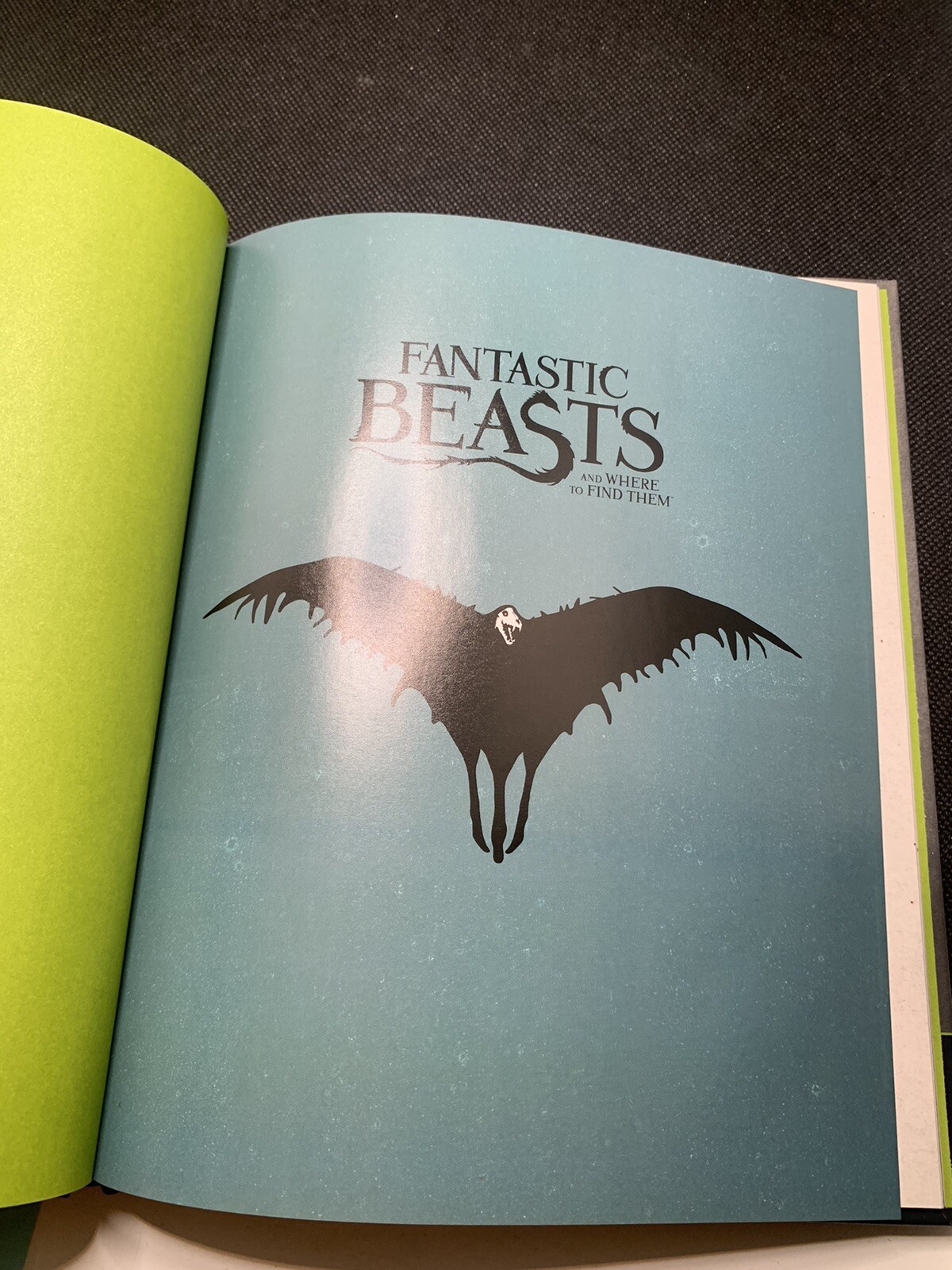Fantastic Beasts Swooping Evil Book Model Set Incredi Builds Wizarding World Kit