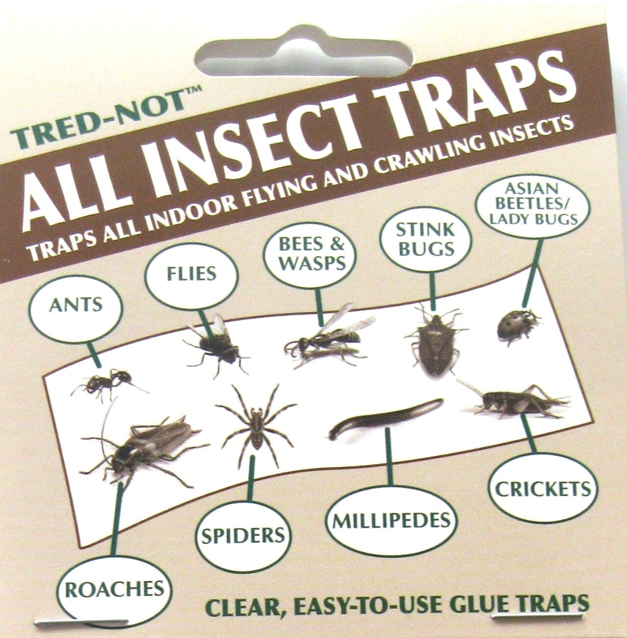 8 pk Fly Trap / Strip / Tray. Window / Floor. Catch flying, crawling insects
