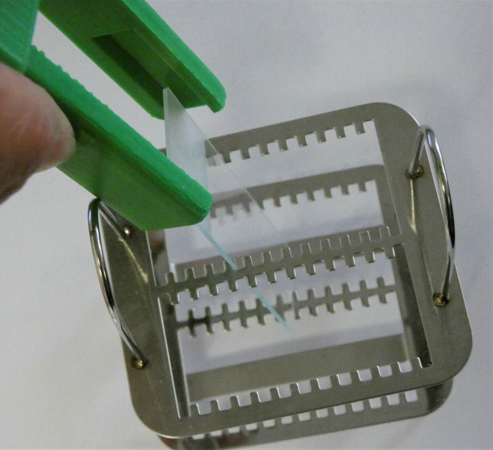 Plastic Microscope Slides Forceps Holder Rack For 3"x1" Standard Slide Staining