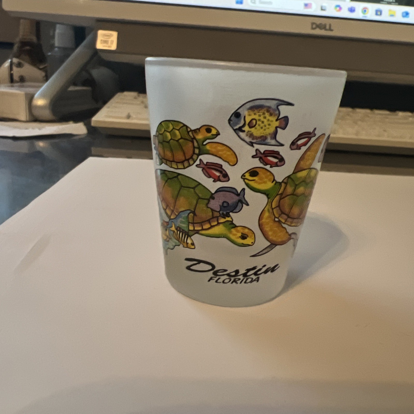 Destin Florida Shot Glass