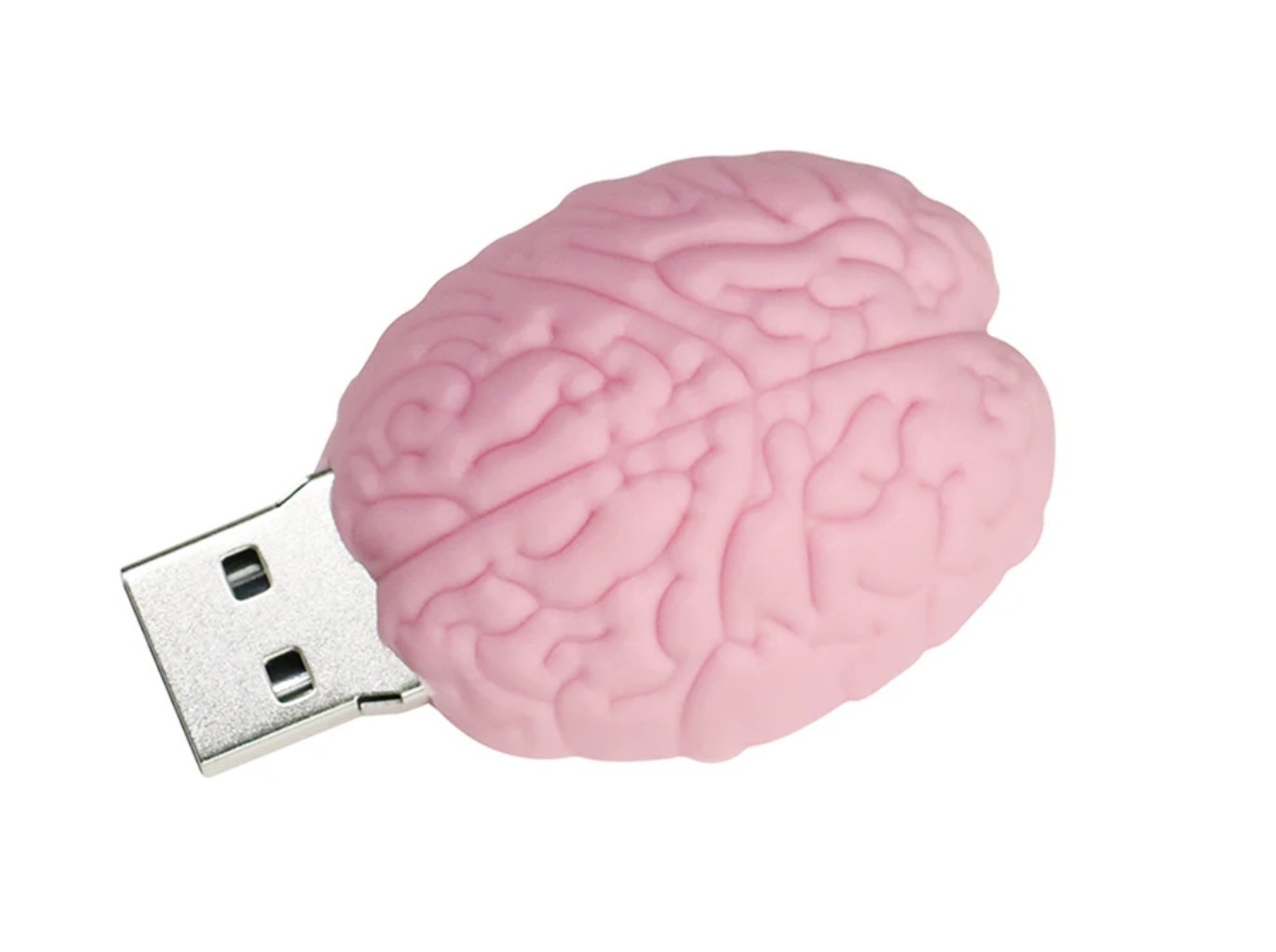 2.0 16gb 32gb 64gb 128gb Brain Human Organ Medical USB Flash Thumb Drive USA