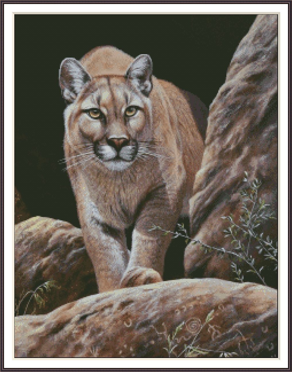 Cougar Among Rocks 1360 Chart Counted Cross Stitch Pattern Needlework