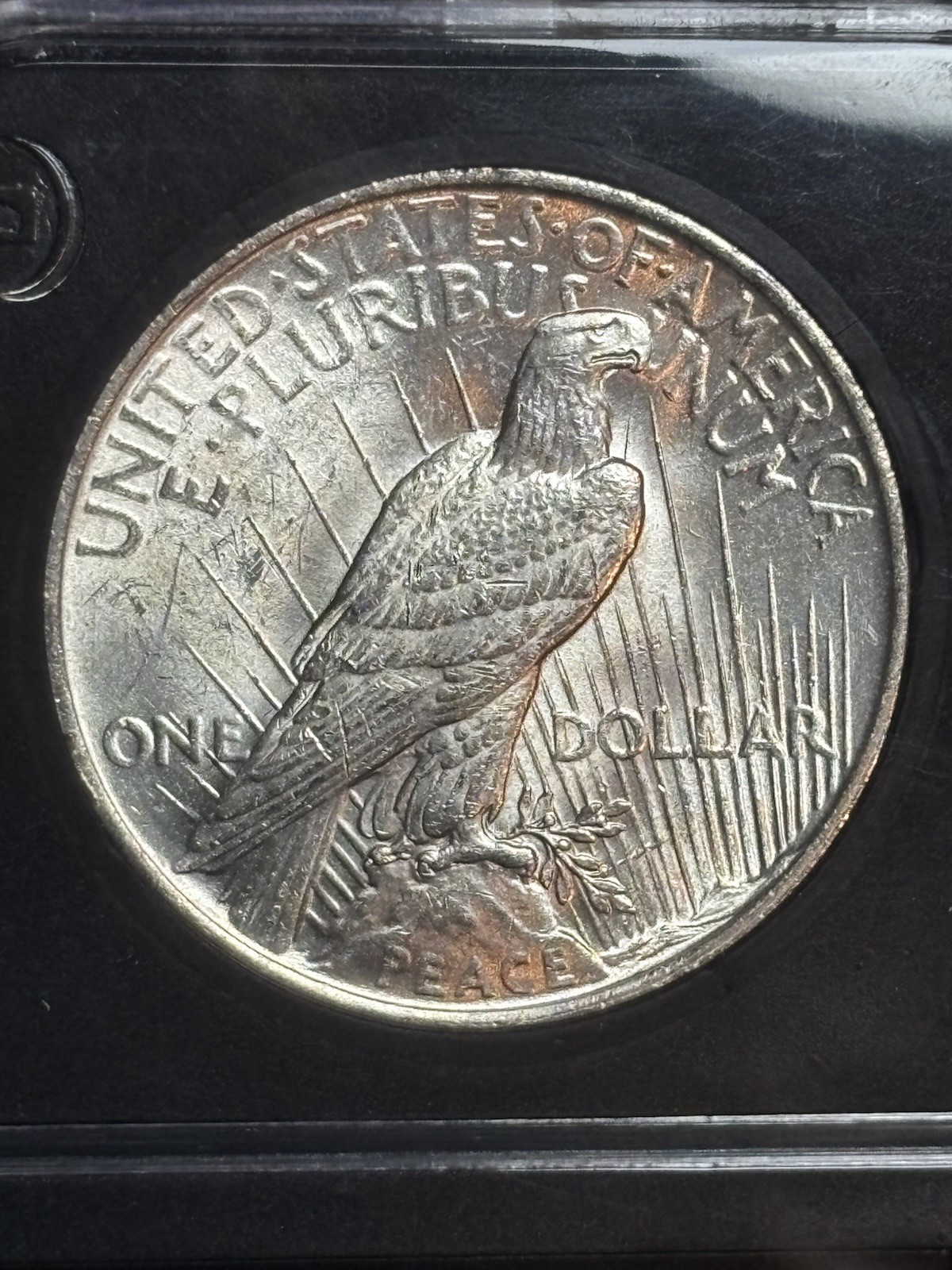 1922 P Peace Dollar - Uncirculated Slab