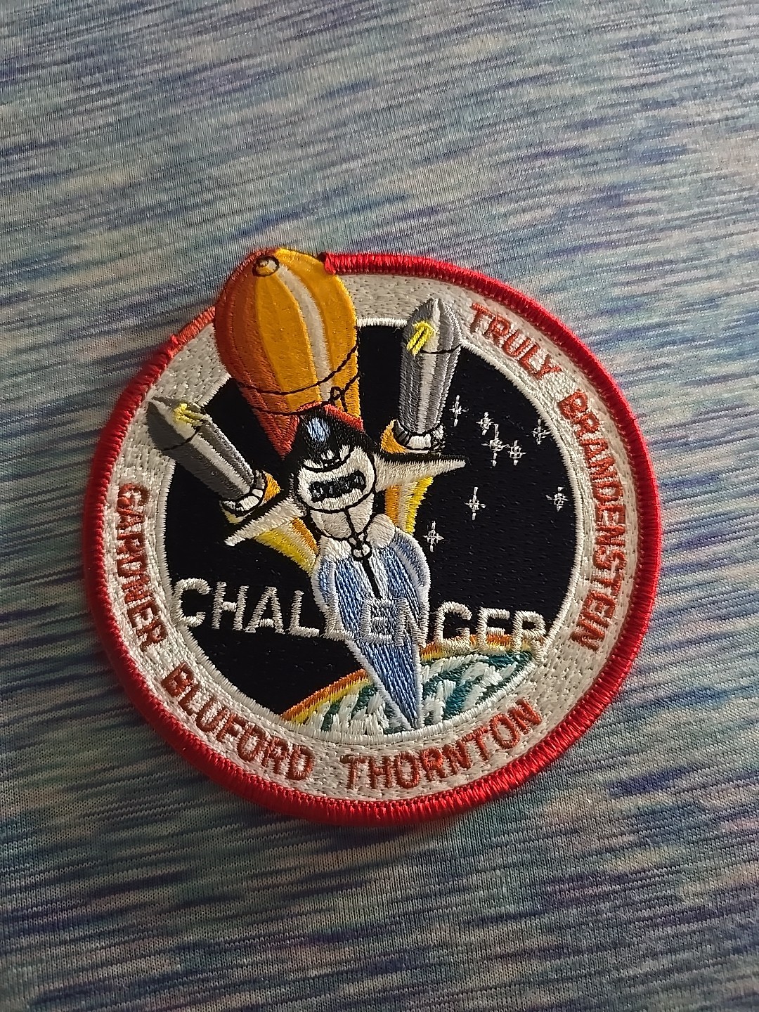Vintage NASA Challenger STS-8 Truly Brandenstein Gardner Bluford Thornton Patch