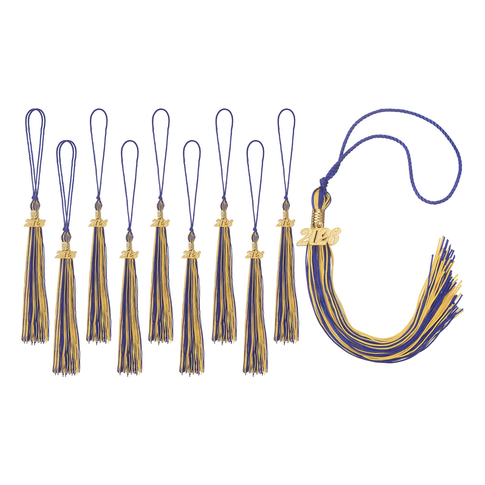 10pcs 2026 Tassel Graduation, Gold Blue Graduation Cap Tassels with Charms