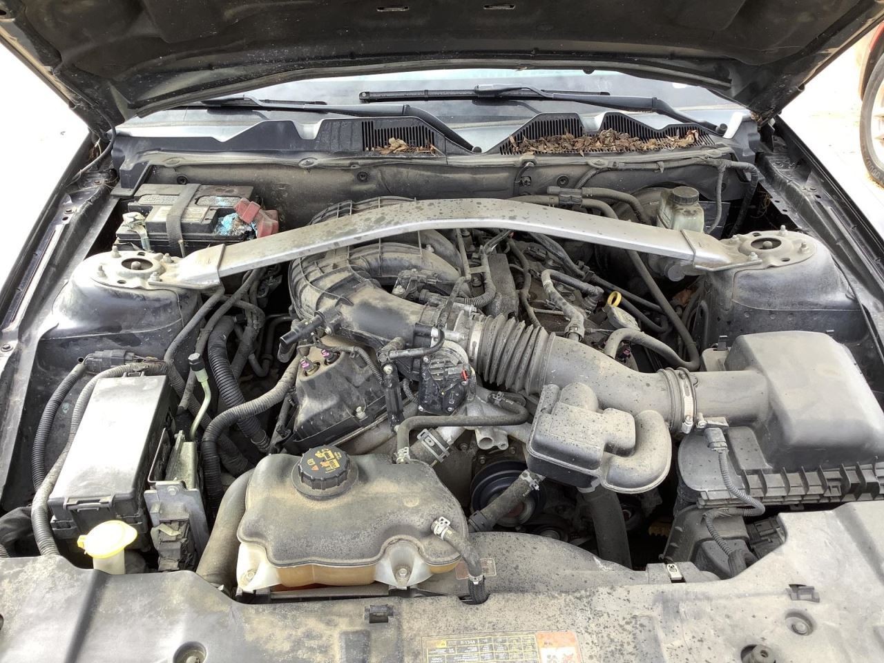 MUSTANG 2014 Glove Box 4926783