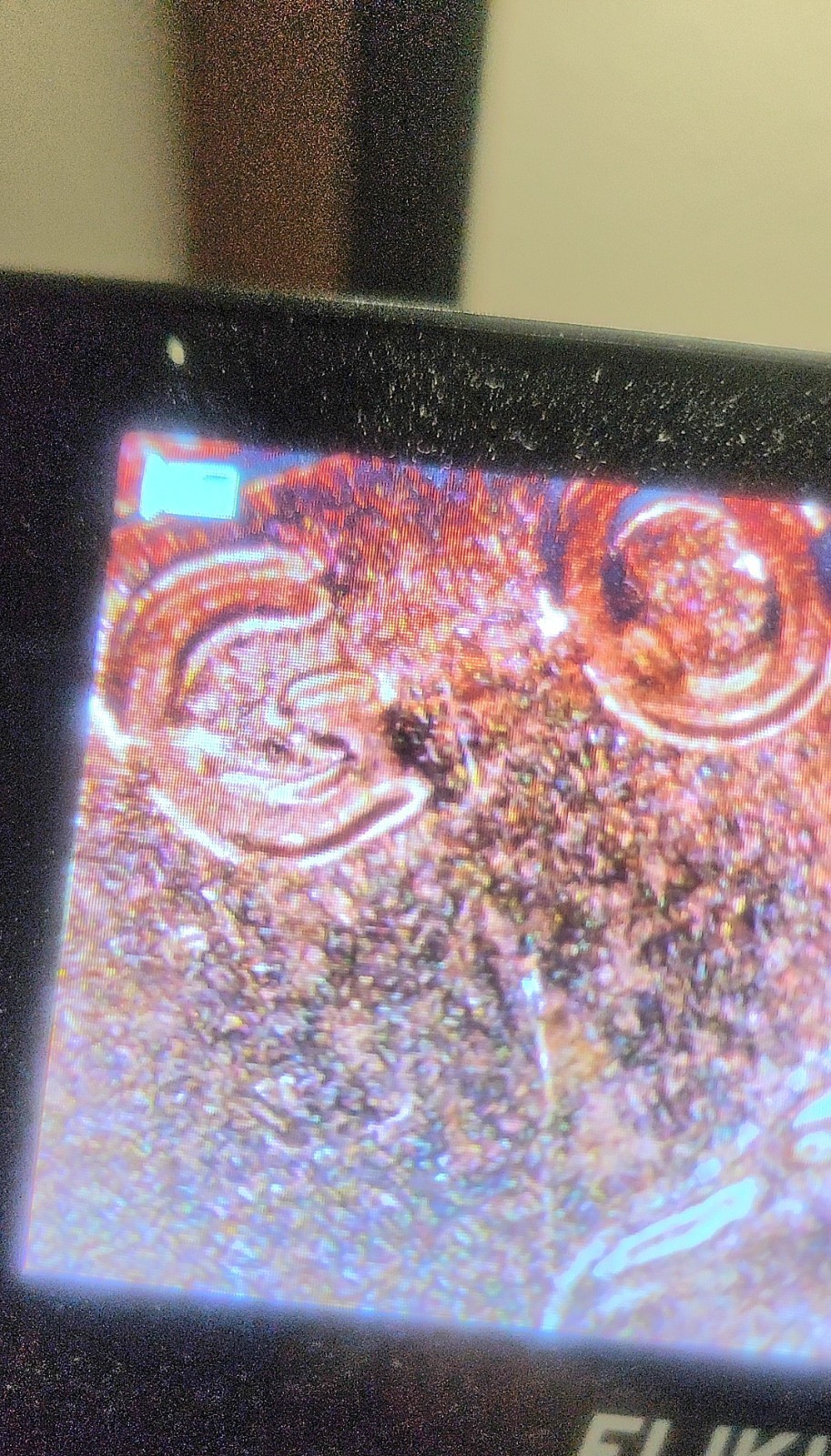 2024 P DDO/DDR Lincoln Cent