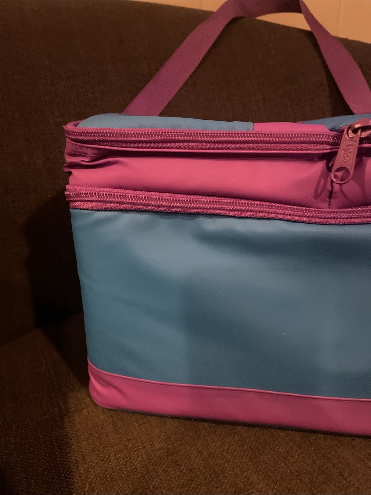 Igloo Collapsible And Cool Lunch Bag Cooler, Separate Snack And Sandwich Mint