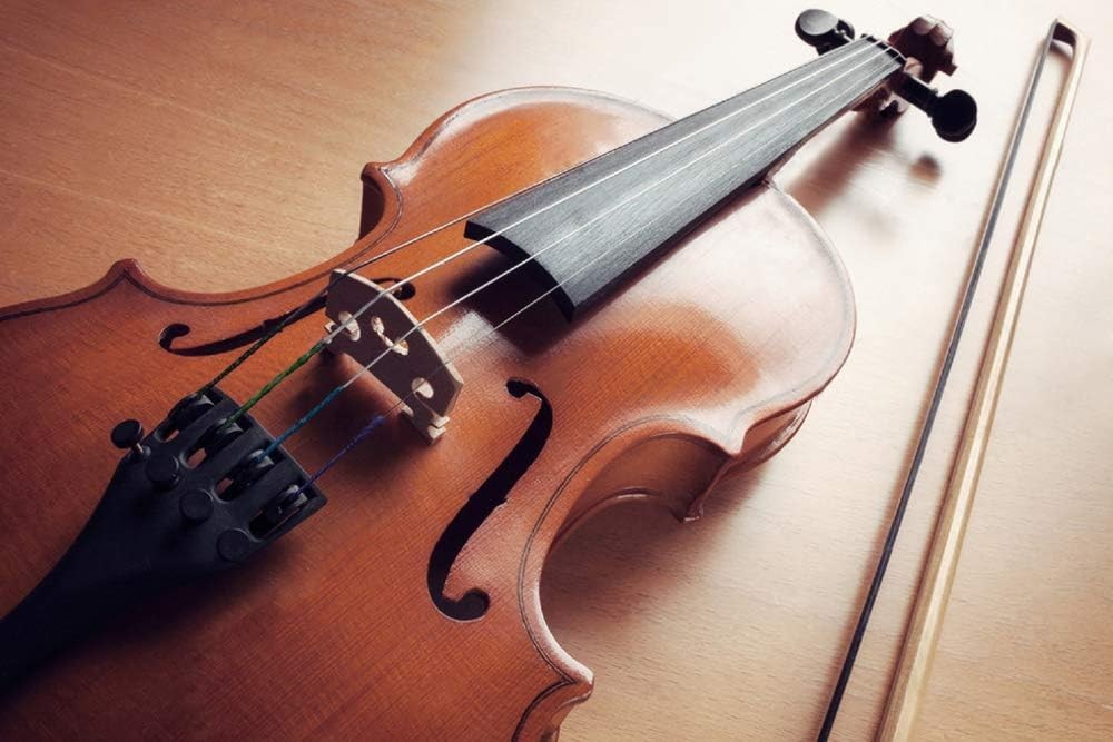 Fansjoy 2 Sets Violin Strings Full Set (G-D-A-E), Universal Violin Strings with